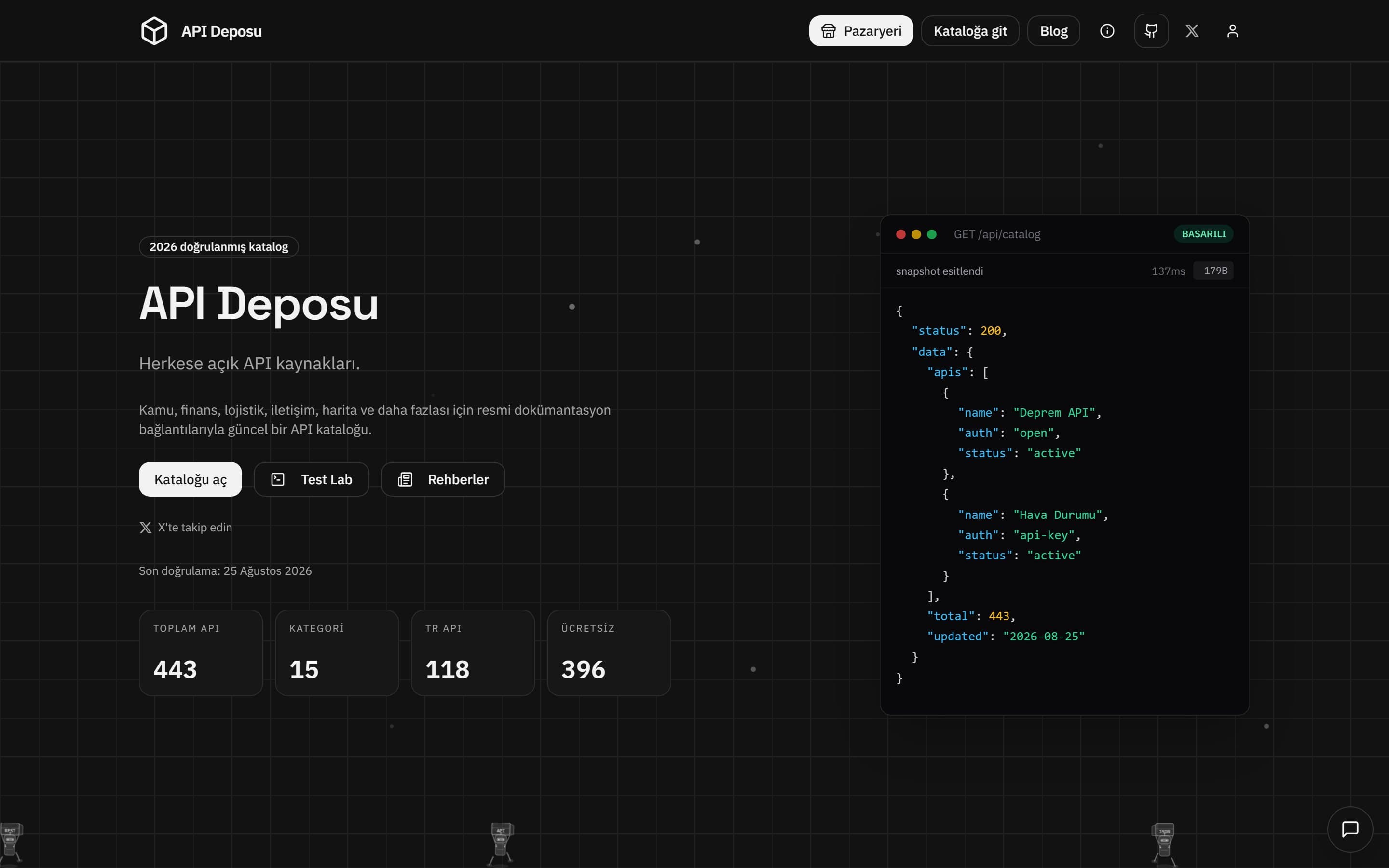 The API Deposu home page, showing catalogue statistics and a live API response example